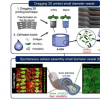完善 3D 打印血管的毛孔