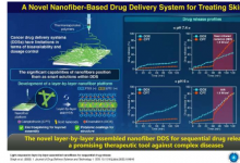 研究人员开发基于纳米纤维的皮肤癌药物输送系统
