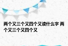 两个又三个又四个又读什么字 两个又三个又四个又 