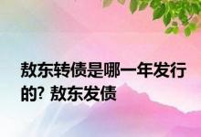 敖东转债是哪一年发行的? 敖东发债 