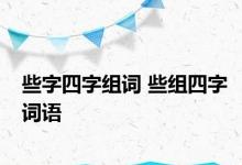 些字四字组词 些组四字词语 