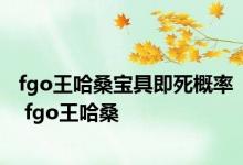 fgo王哈桑宝具即死概率 fgo王哈桑 