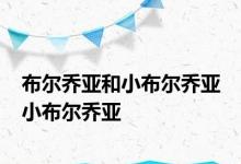 布尔乔亚和小布尔乔亚 小布尔乔亚 