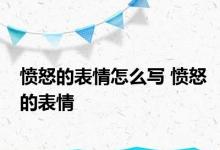 愤怒的表情怎么写 愤怒的表情 