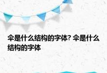 伞是什么结构的字体? 伞是什么结构的字体 