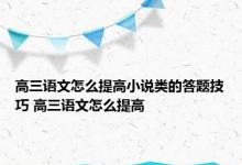 高三语文怎么提高小说类的答题技巧 高三语文怎么提高 