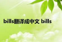 bills翻译成中文 bills 