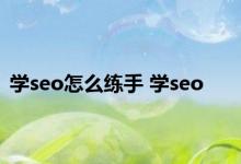 学seo怎么练手 学seo 