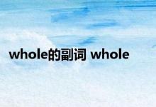 whole的副词 whole 