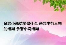 余罪小说结局是什么 余罪中各人物的结局 余罪小说结局 