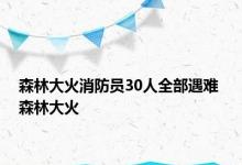 森林大火消防员30人全部遇难 森林大火 