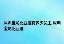 深圳宝龙比亚迪有多少员工 深圳宝龙比亚迪 