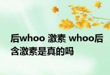 后whoo 激素 whoo后含激素是真的吗 