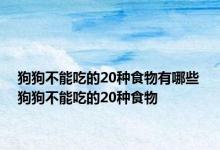 狗狗不能吃的20种食物有哪些 狗狗不能吃的20种食物 