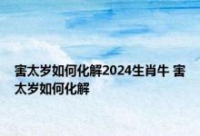 害太岁如何化解2024生肖牛 害太岁如何化解 