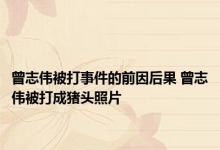 曾志伟被打事件的前因后果 曾志伟被打成猪头照片 