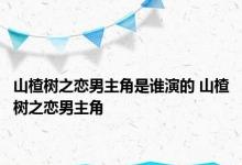 山楂树之恋男主角是谁演的 山楂树之恋男主角 