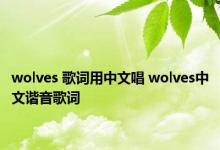 wolves 歌词用中文唱 wolves中文谐音歌词 