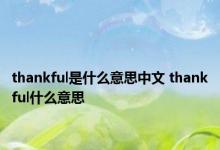 thankful是什么意思中文 thankful什么意思 