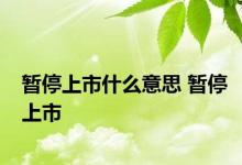 暂停上市什么意思 暂停上市 