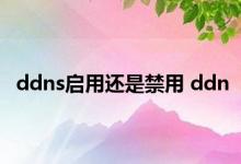 ddns启用还是禁用 ddn 