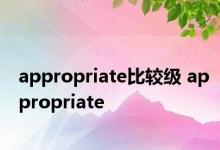 appropriate比较级 appropriate 