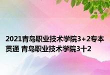 2021青岛职业技术学院3+2专本贯通 青岛职业技术学院3十2 