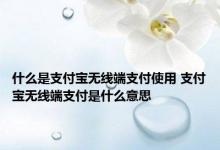 什么是支付宝无线端支付使用 支付宝无线端支付是什么意思 