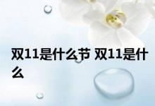 双11是什么节 双11是什么 