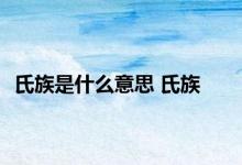 氏族是什么意思 氏族 