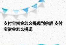 支付宝赏金怎么提现到余额 支付宝赏金怎么提现 