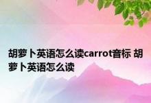 胡萝卜英语怎么读carrot音标 胡萝卜英语怎么读 