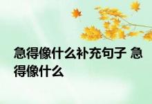 急得像什么补充句子 急得像什么 