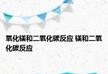 氧化镁和二氧化碳反应 镁和二氧化碳反应 