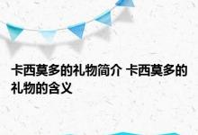 卡西莫多的礼物简介 卡西莫多的礼物的含义 