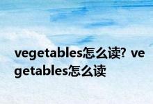 vegetables怎么读? vegetables怎么读 