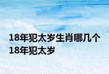 18年犯太岁生肖哪几个 18年犯太岁 