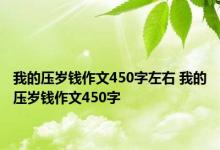 我的压岁钱作文450字左右 我的压岁钱作文450字 