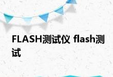 FLASH测试仪 flash测试 