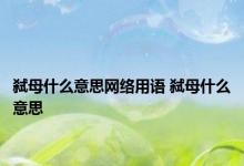 弑母什么意思网络用语 弑母什么意思 