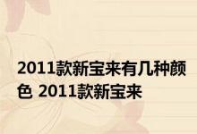 2011款新宝来有几种颜色 2011款新宝来 