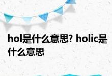 hol是什么意思? holic是什么意思 