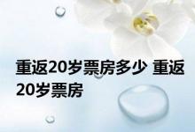 重返20岁票房多少 重返20岁票房 