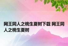 网王同人之桃生夏树下载 网王同人之桃生夏树 