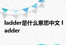 ladder是什么意思中文 ladder 