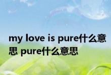 my love is pure什么意思 pure什么意思 