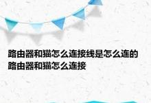 路由器和猫怎么连接线是怎么连的 路由器和猫怎么连接 