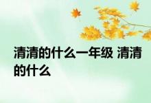 清清的什么一年级 清清的什么 