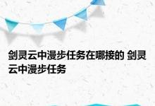 剑灵云中漫步任务在哪接的 剑灵云中漫步任务 