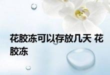 花胶冻可以存放几天 花胶冻 